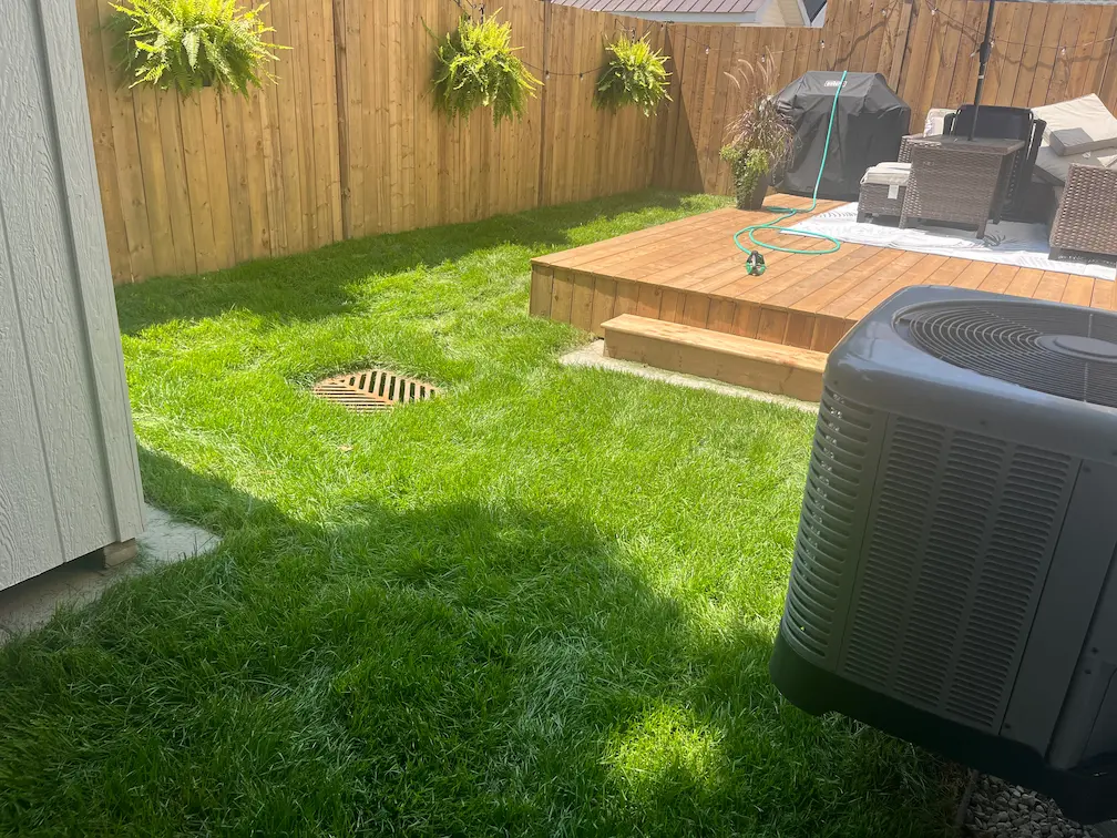 Sod Installation After