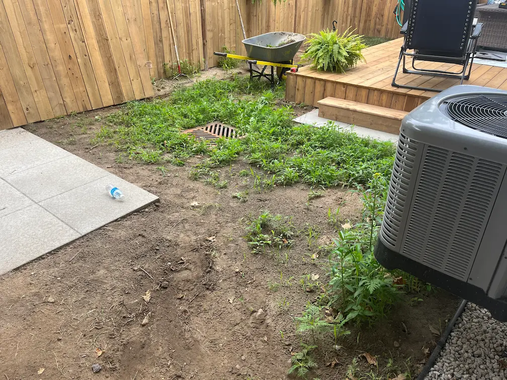 Sod Installation Before